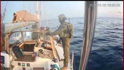 March to Gaza - instagram