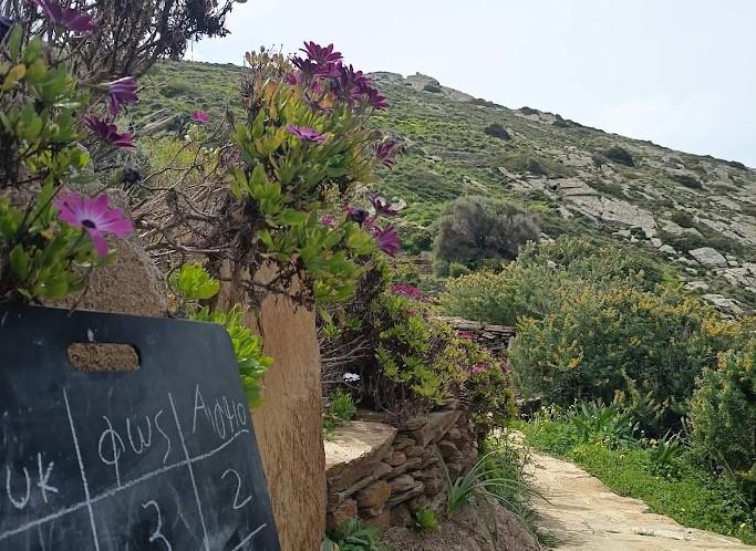 Δημιουργία ενός ψηφιακού μονοπατιού