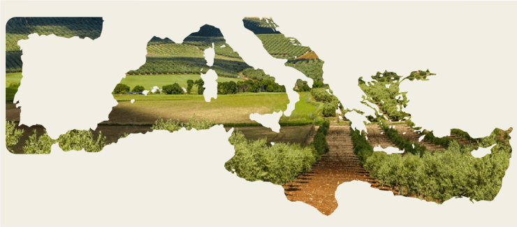 “Η νέα ΚΑΠ πρέπει να γίνει το οξυγόνο για ζωντανές αγροτικές κοινότητες”