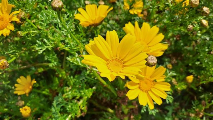 Η φωτογραφία της ημέρας