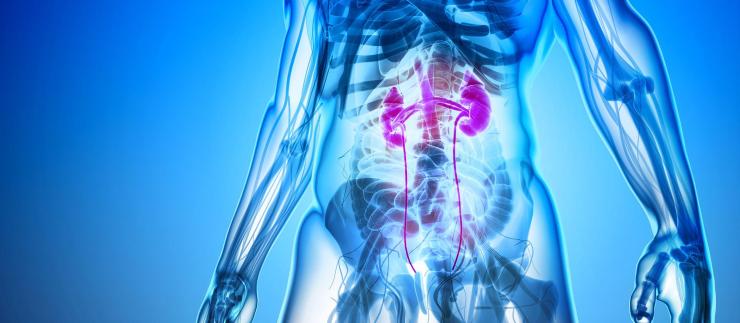 Η εκστρατεία της Ελληνικής Ουρολογικής Εταιρείας που «σπάει τη σιωπή» γύρω από τις ουρολογικές παθήσεις