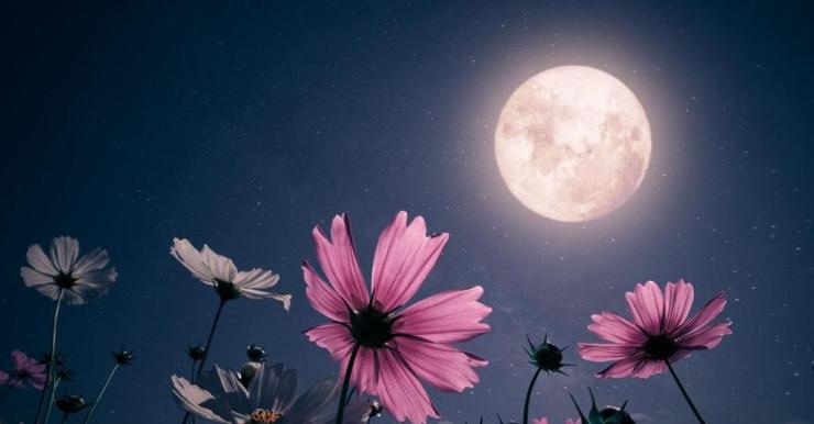Πανσέληνος Μαΐου: Πότε θα δούμε το “Φεγγάρι των Λουλουδιών” στον ουρανό