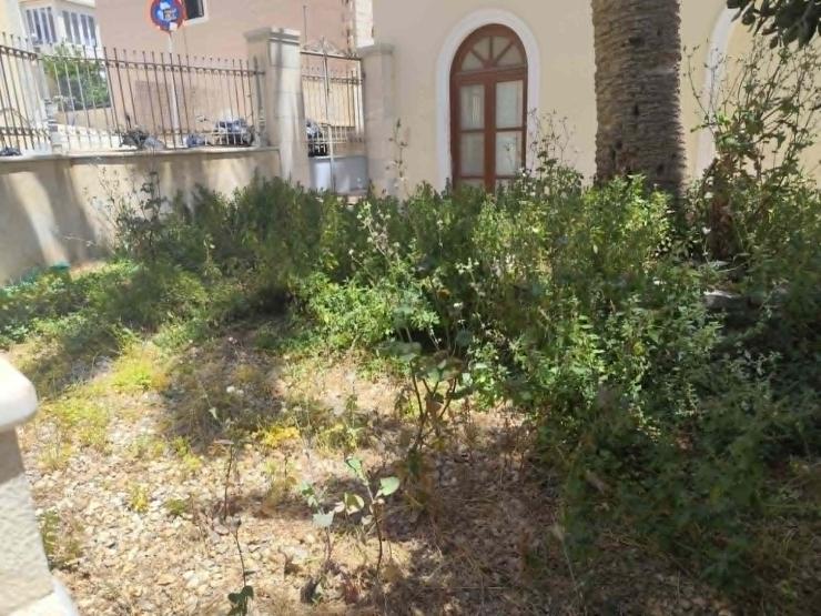 Λείπουν οι αποψιλώσεις στο θέατρο Απόλλων 