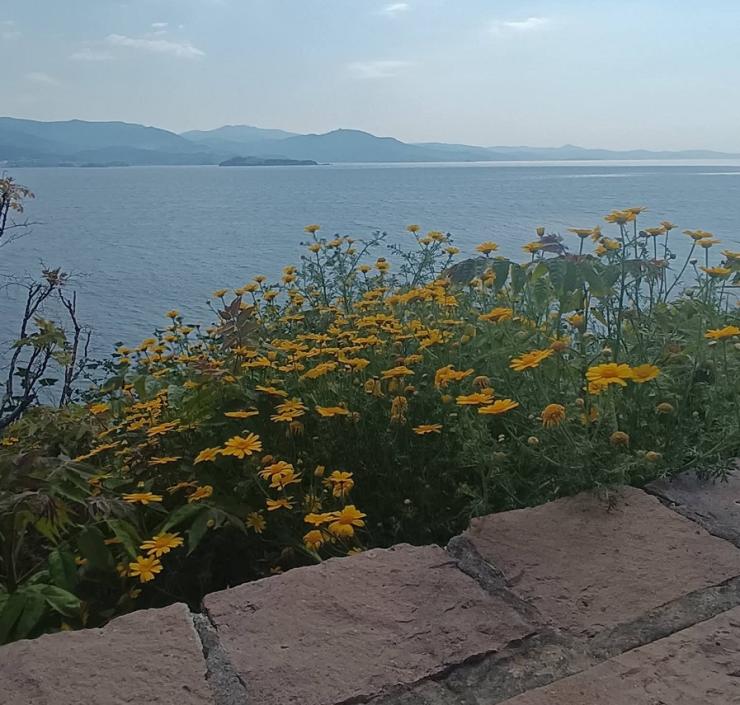 Η φωτογραφία της ημέρας