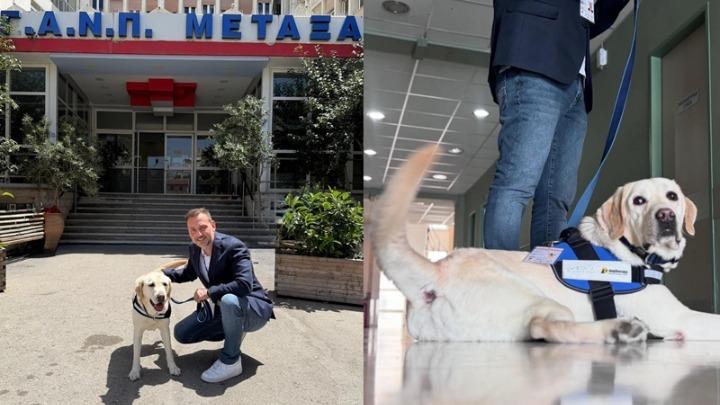 Στο νοσοκομείο «Μεταξά» ο πρώτος σκύλος θεραπείας