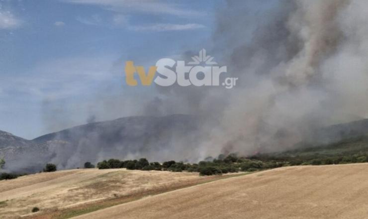 Ανεξέλεγκτη η φωτιά στον Ορχομενό