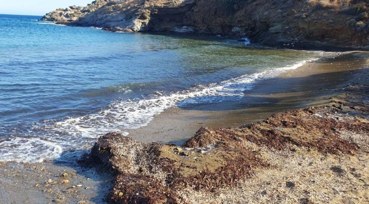 Μεγάλες ποσότητες φυκιών στις παραλίες της Σύρου