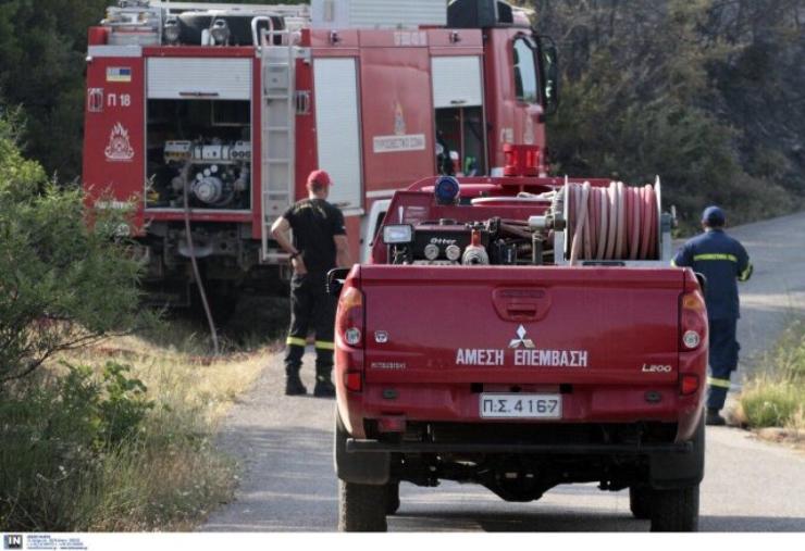 Φωτιά στο Ακραίφνιο Βοιωτίας