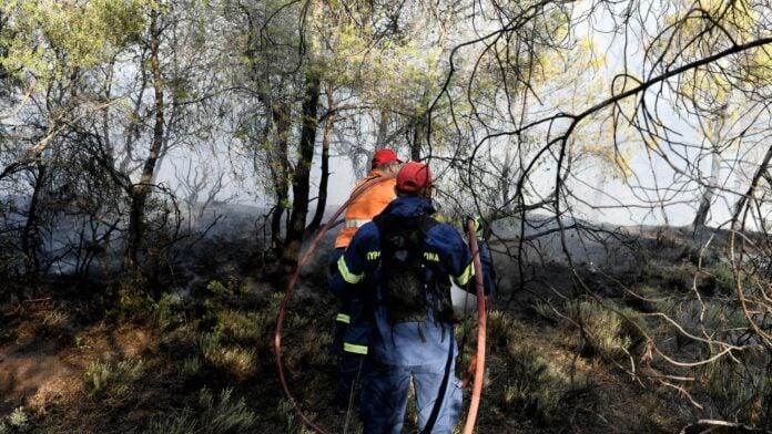 Φωτιά τώρα σε Αγία Τριάδα Μώλου Φθιώτιδας και Καλλιθέα Φαρσάλων – Σηκώθηκαν αεροσκάφη