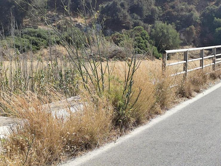 Ανύπαρκτες οι αποψιλώσεις στους δρόμους των χωριών 