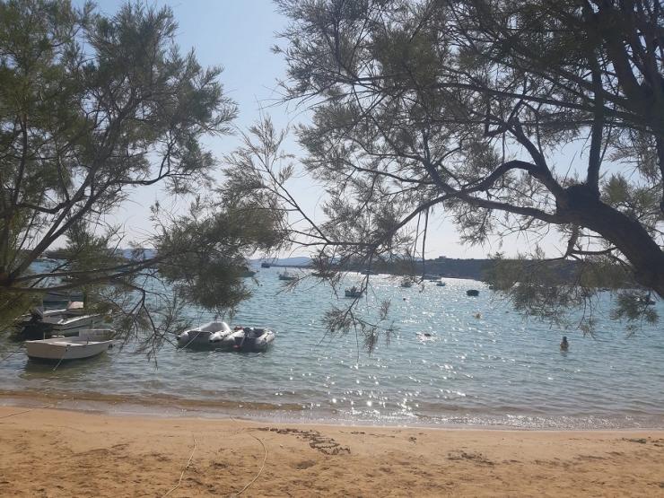 Η φωτογραφία της ημέρας