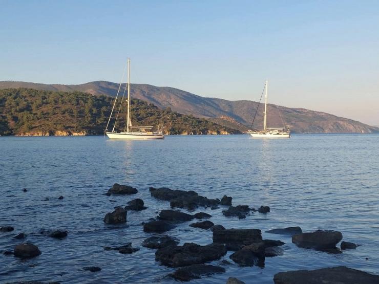 Η φωτογραφία της ημέρας