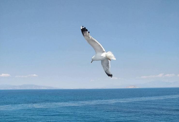 Η φωτογραφία της ημέρας