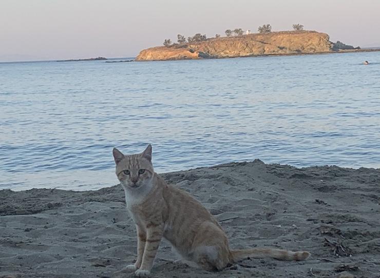 Η φωτογραφία της ημέρας