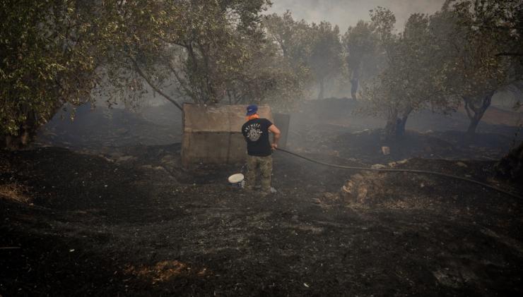 Λέσβος: 1.000 καμένα στρέμματα η πρώτη εκτίμηση από τη φωτιά στο Πλωμάρι