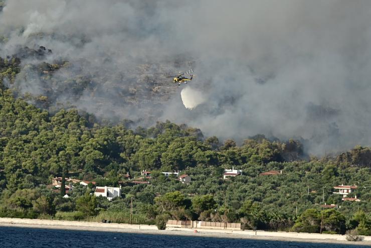 Ευάγγελος Τουρνάς: Πάνω από 400 φωτιές σε 10 ημέρες, από αμέλεια το 90% των περιστατικών