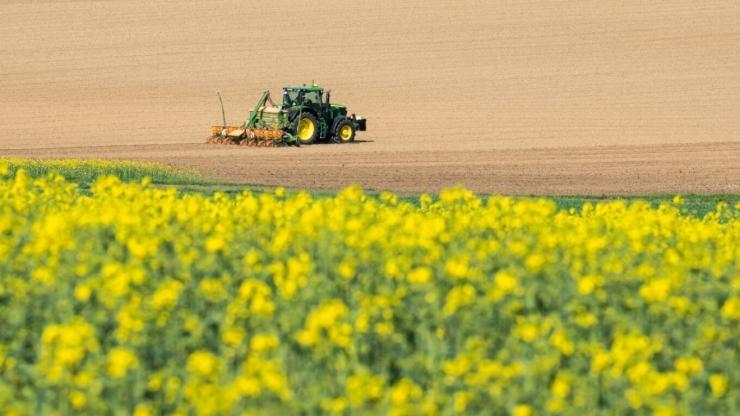 Ενισχύσεις 22 εκατ. ευρώ σε 4.882 παραγωγούς, ποιους αφορούν οι πληρωμές