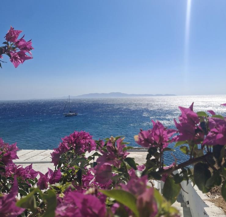 Η φωτογραφία της ημέρας