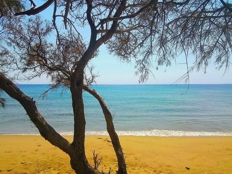 Η φωτογραφία της ημέρας