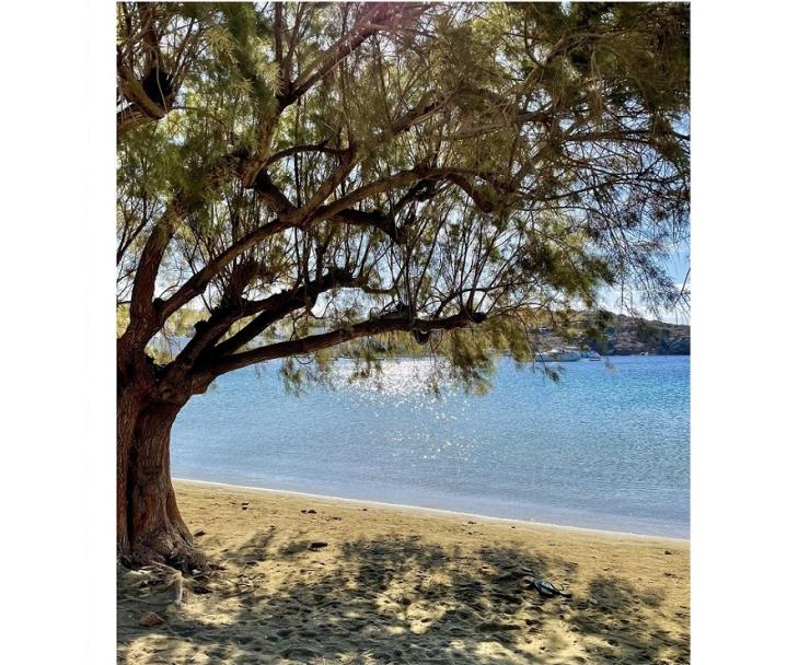 Η φωτογραφία της ημέρας