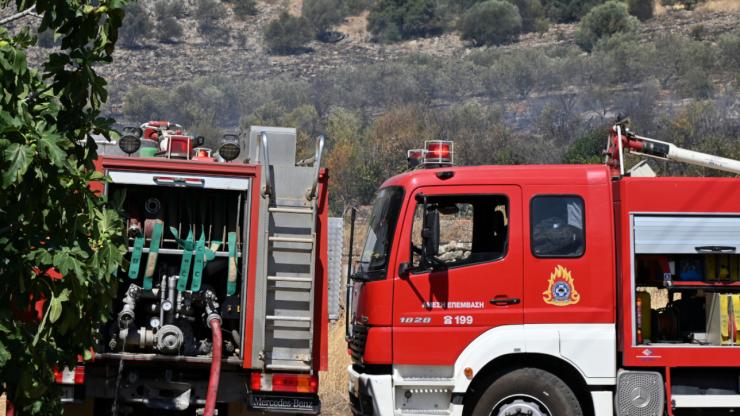 Συνελήφθη 40χρονος για εμπρησμούς στην Εύβοια