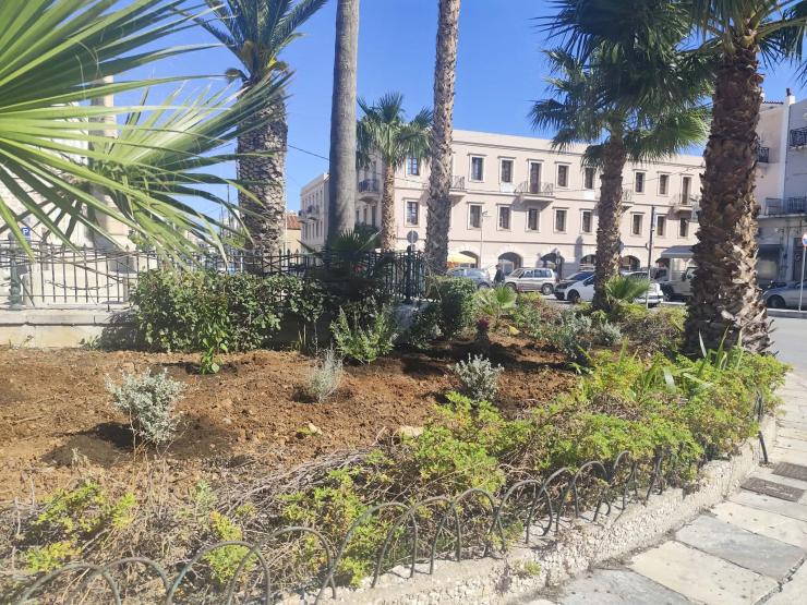“Μεταμορφώθηκε” σε  μικρό ανθισμένο κήπο 