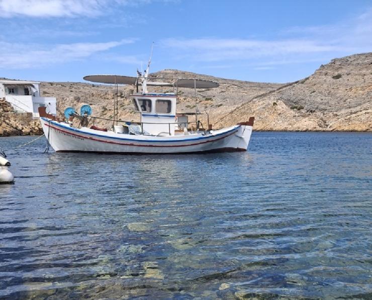Η φωτογραφία της ημέρας