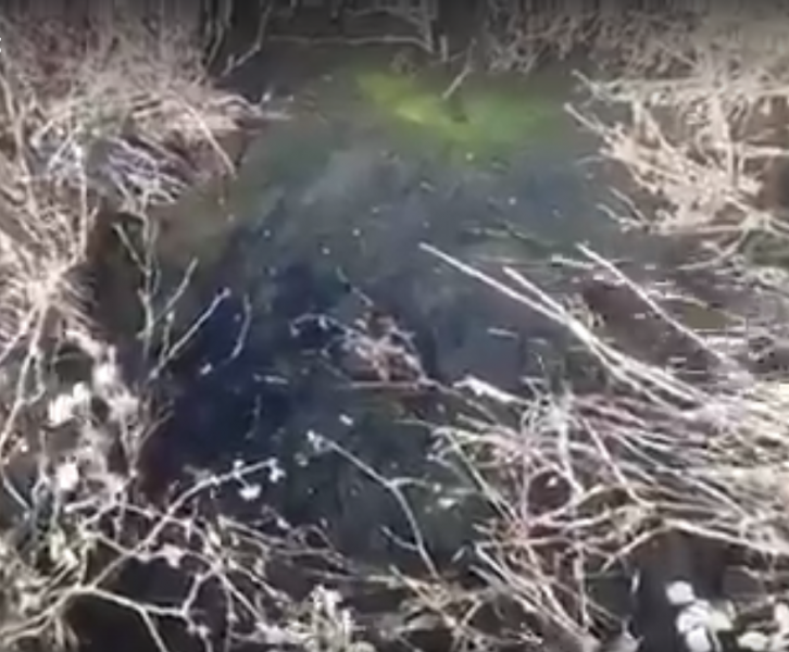 “Ζήτημα δημόσιας υγείας”