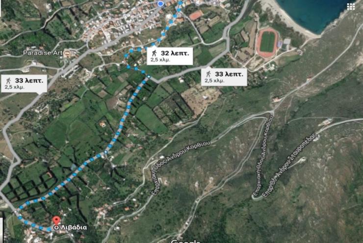 Ημέρα χωρίς αυτοκίνητο στην Άνδρο 