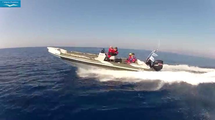 Οι Γλάροι του Αιγαίου πετούν... για Σίφνο 