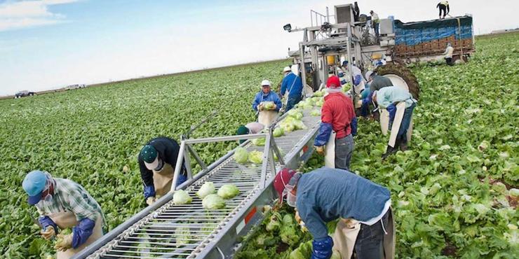 25 εκατ. ευρώ σε αναγνωρισμένες Ομάδες και Οργανώσεις Παραγωγών