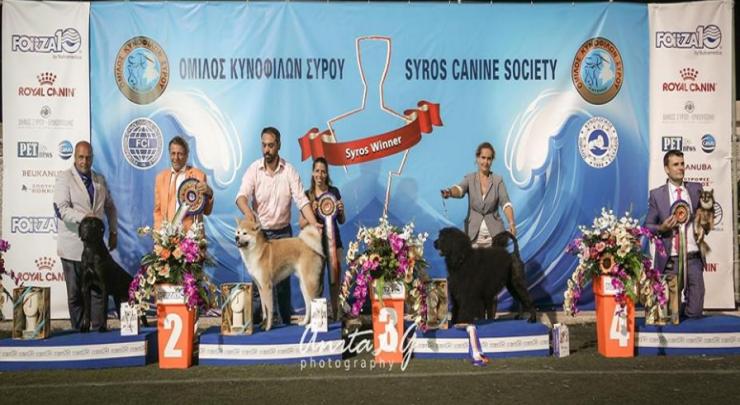 Σύσφιξη δεσμών και νέες δράσεις 