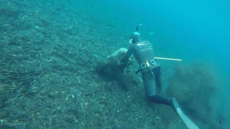  «Να επαναφέρουμε την καθαρότητα των νερών»