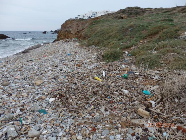 Καθαρισμός παραλίας Γρόττας στη Νάξο 