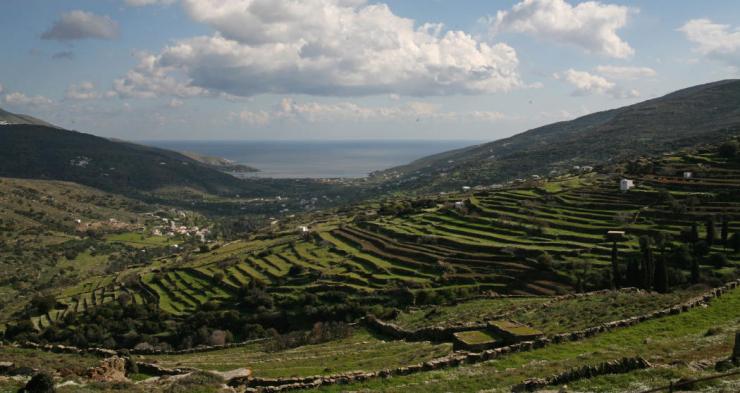 LIFE TERRACESCAPE στην Άνδρο 