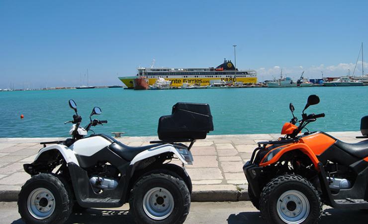 Κανονικά και φέτος οι “γουρούνες” στις τουριστικές περιοχές