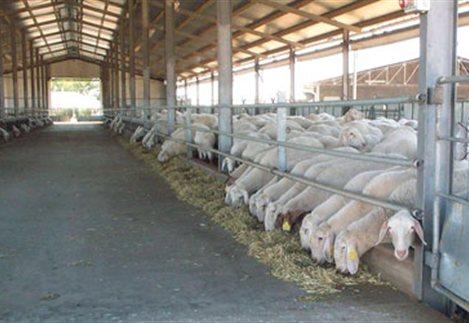 Ρυθμίσεις για την ίδρυση και λειτουργία κτηνοτροφικών εγκαταστάσεων