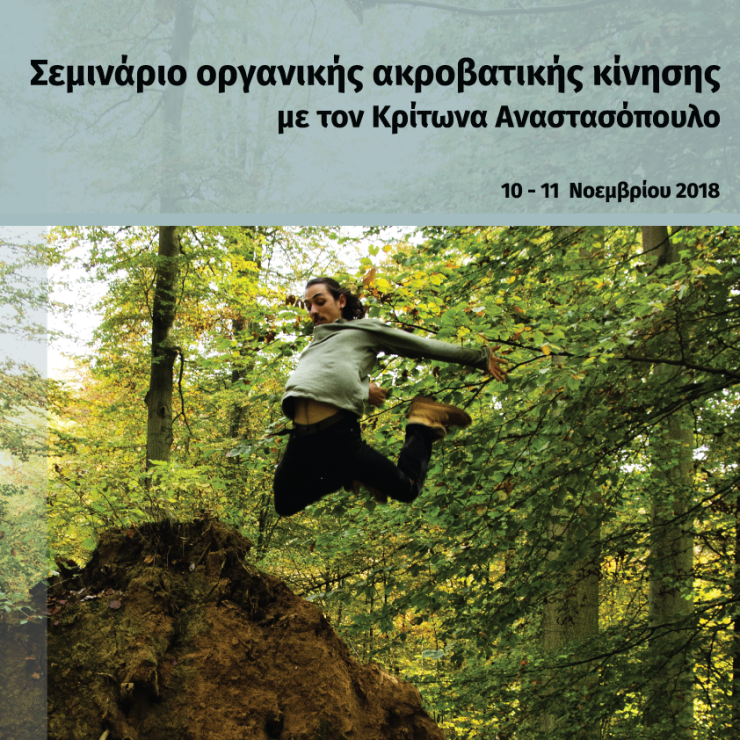Σεμινάριο οργανικής ακροβατικής κίνησης 