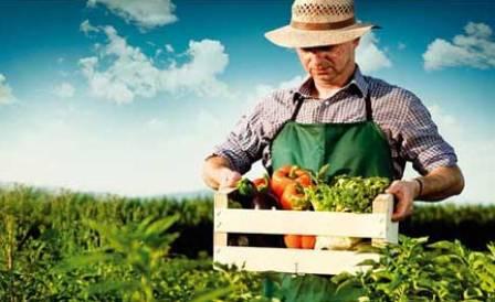 Εγγραφή παραγωγών στο Εθνικό Μητρώο