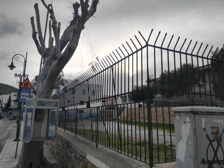  Αποψιλώσεις και κλάδεμα για την ασφάλεια των μαθητών 