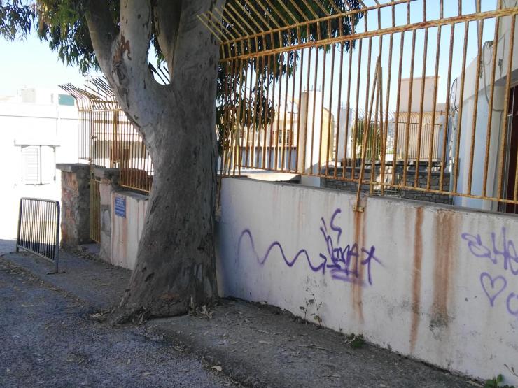 Δεν συντρέχει λόγος κοπής δέντρων 