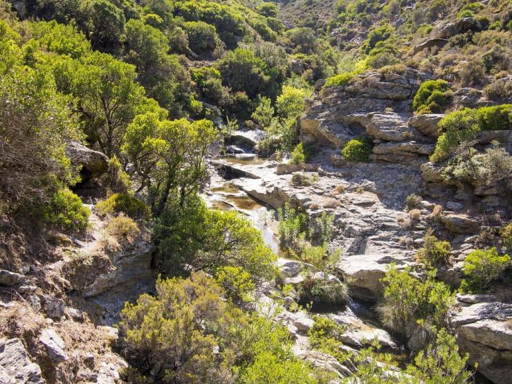 2o Φεστιβάλ Πεζοπορίας Άνδρου 