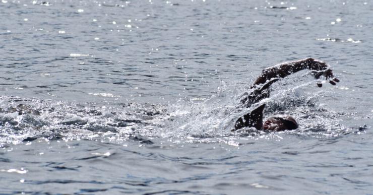 3ος Κολυμβητικός Περίπατος Κέας “Λάμπρος Κατσώνης”