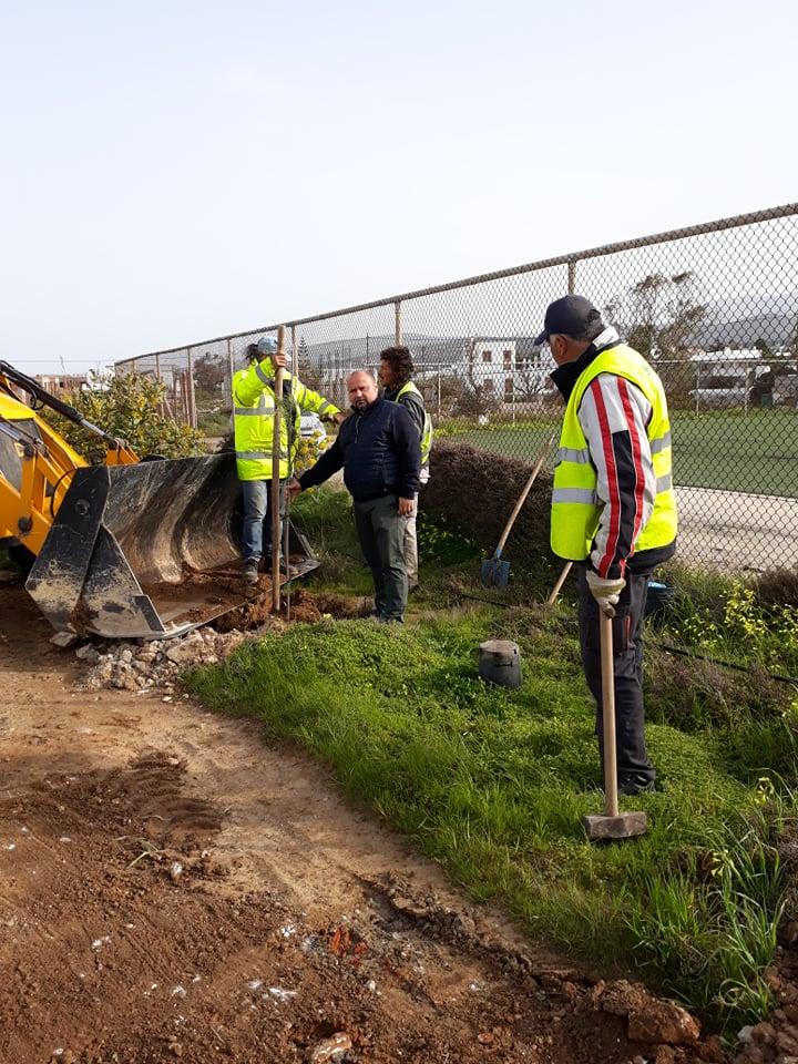 Κοπές επικίνδυνων δέντρων και δενδροφύτευση Αλυκής Πάρου 