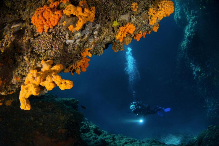 Oλοκληρώθηκε ο διαγωνισμός υποβρύχιας φωτογραφίας της Περιφέρειας Νοτίου Αιγαίου