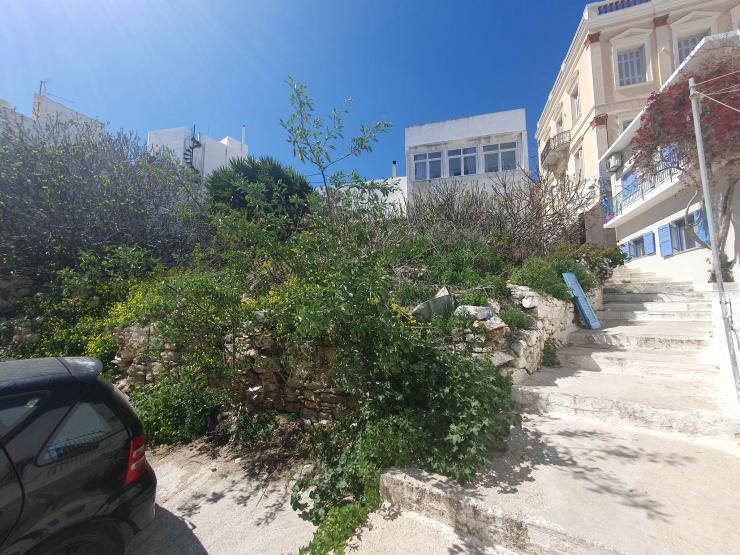 Μικρή “ζούγκλα” όπισθεν παιδικής χαράς 