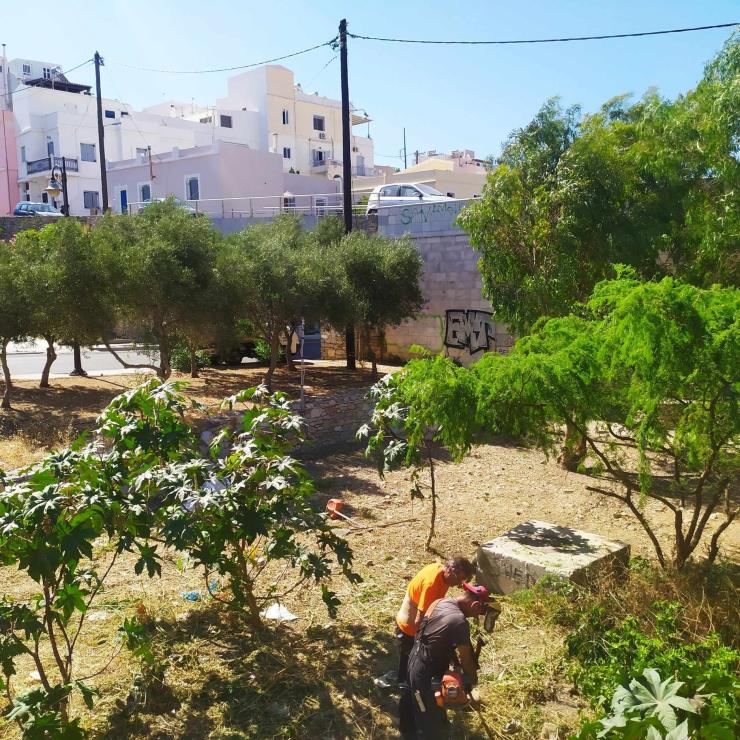 Με εντατικούς ρυθμούς πλέον απομακρύνονται ξερά χόρτα 