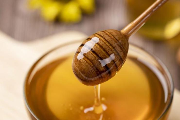 14ο Φεστιβάλ Ελληνικού Μελιού: Πρόσκληση της Περιφέρειας Ν. Αιγαίου για συμμετοχές