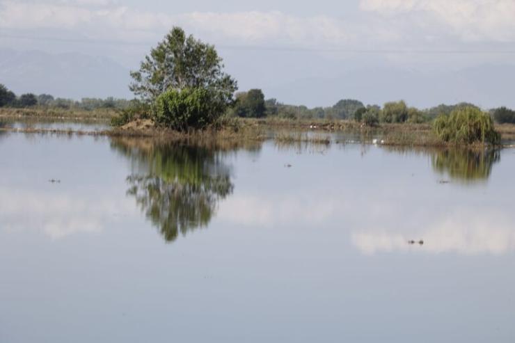 Κακοκαιρία Elias - Καρδίτσα: Υπερχείλισε ο ποταμός Σοφαδίτης
