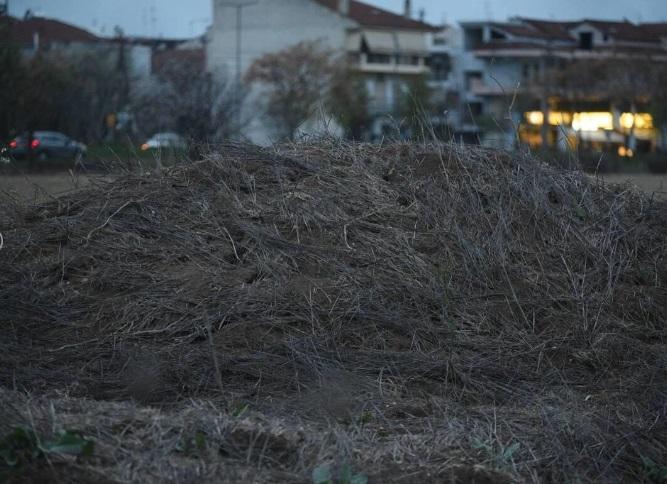 Λάρισα: Συνοικία γέμισε ποντίκια -  Ανησυχία για τη δημόσια υγεία 